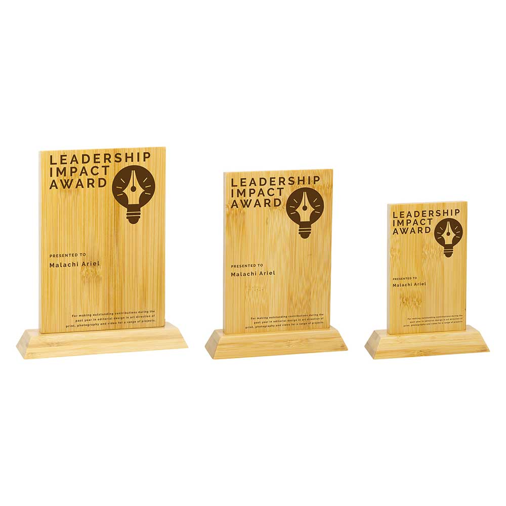 Three wooden 'Leadership Impact Award' plaques on a white background