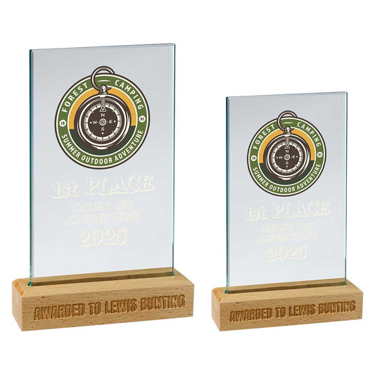 Two glass awards with wooden bases on a white background