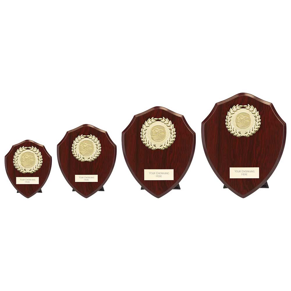 Set of four wooden awards with gold medallions on a white background