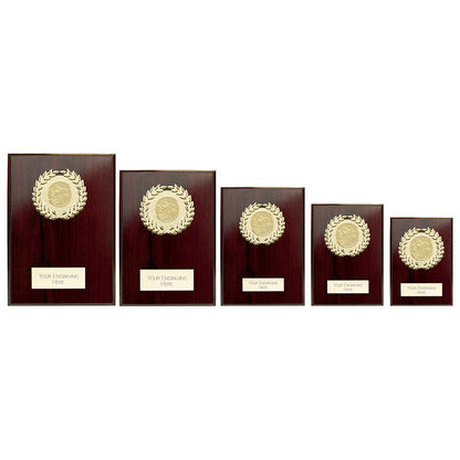 Set of five wooden award plaques with gold emblem and text on a white background